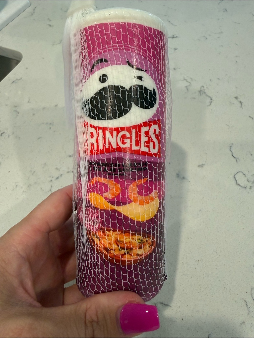 Pringles Spanish Garlic Cajun Shrimp Squishy